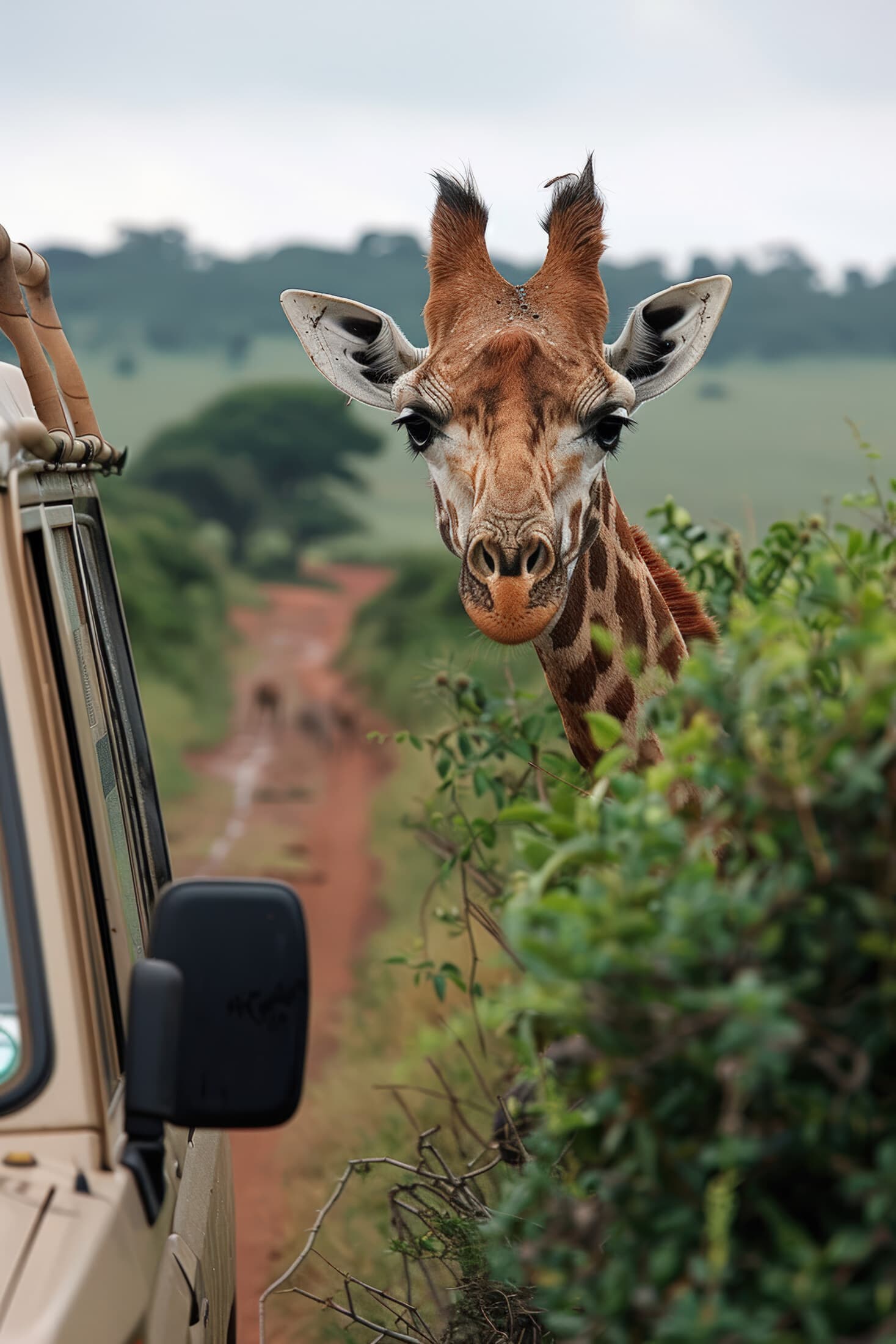 Great Migration Safari