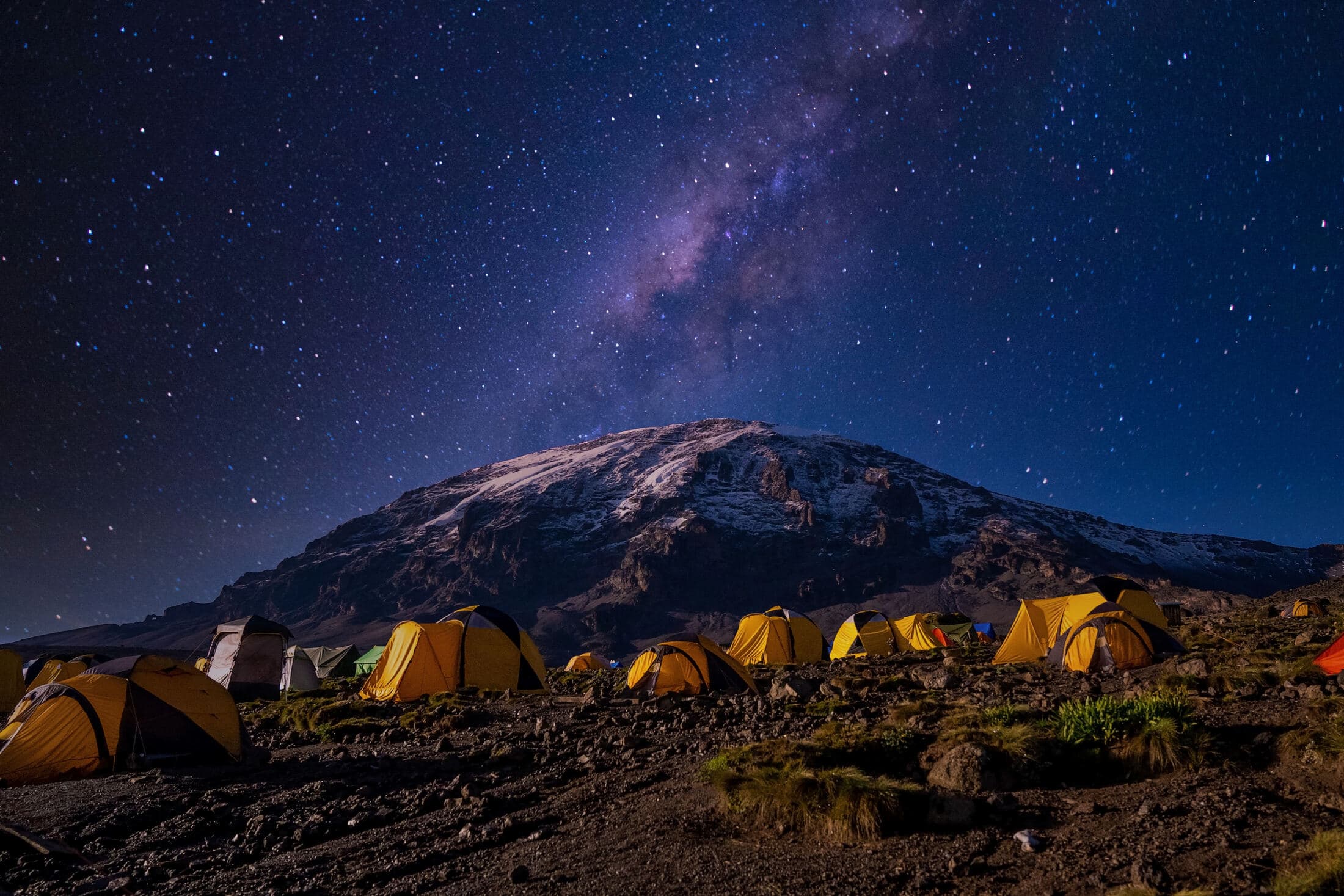 Camping Safari
